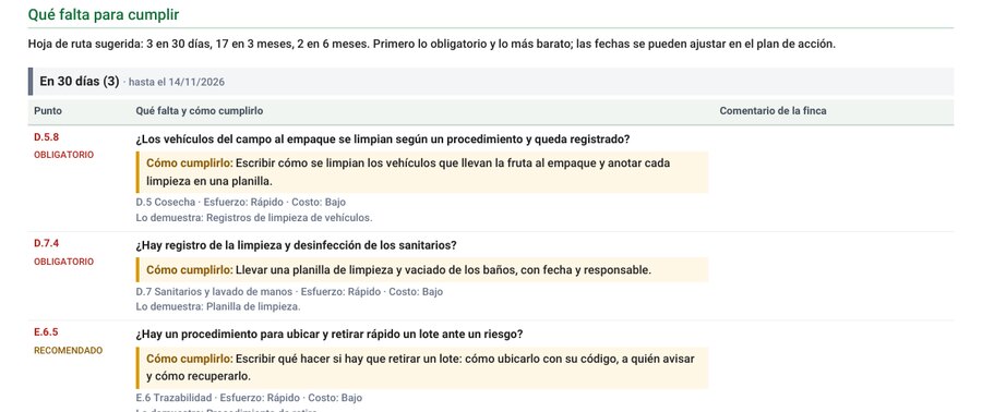 Ejemplo de hoja de ruta del informe con qué hacer en cada punto
